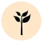 icon2 1